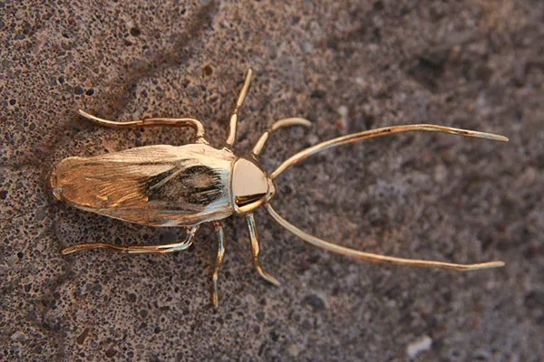 Golden Roach proejkt