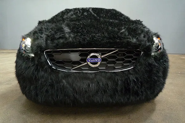 Special Volvo edition